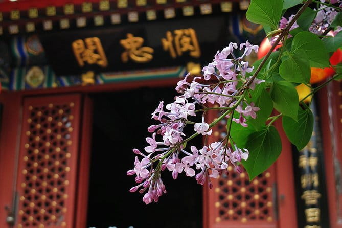 Imperial Splendor: Private 2-Day Beijing Discovery Tour - Weather Rules for the Great Wall Day