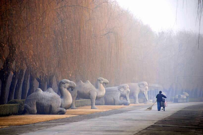 Ming Tombs Private Tour: Sacred Road, Dingling and Changling - Who should book this Ming Tombs private tour?