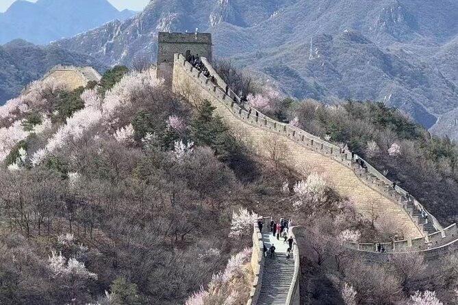 Mutianyu Great Wall Small Group Tour from Beijing with Guide - Price check: is $100 worth it for a private guided Wall day?