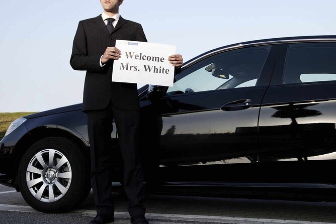 Private Arrival Transfer from Beijing Airport to Hotel - Quick hits before you land