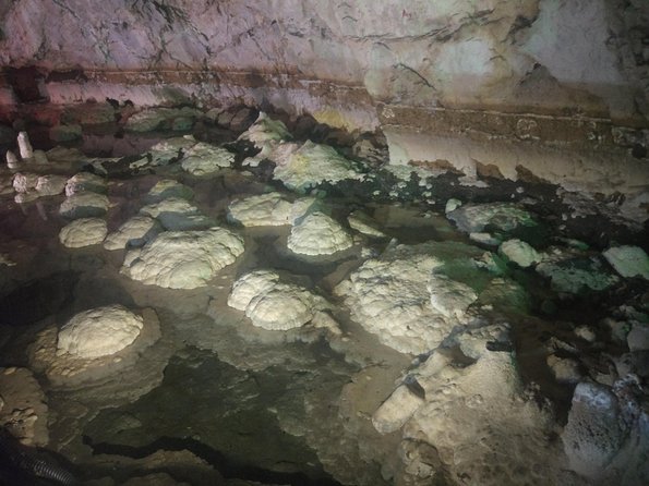 Private Beijing Day Trip: Peking Man Site, Stone Flower Cave, Marco Polo Bridge - What to expect during the day, start time, walking, and pacing
