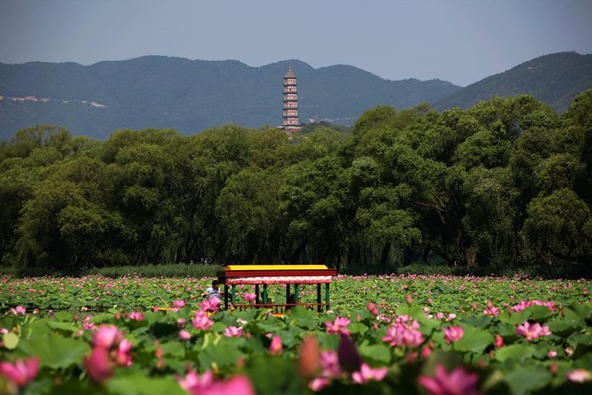 Private Day Tour: Summer Palace and Old Summer Palace in Beijing - Old Summer Palace at Yuanmingyuan: ruins, East-West ambition, and the Versailles of the East theme