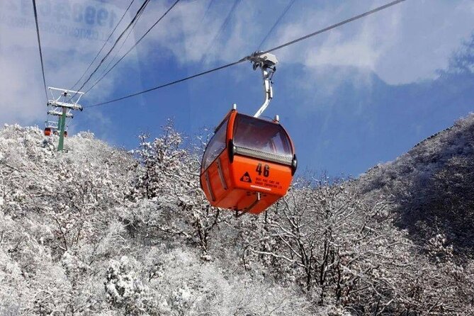 Private Day Tour to Beijing Mutianyu Great Wall - Your route choices: hike up and cable down, or hike down and toboggan