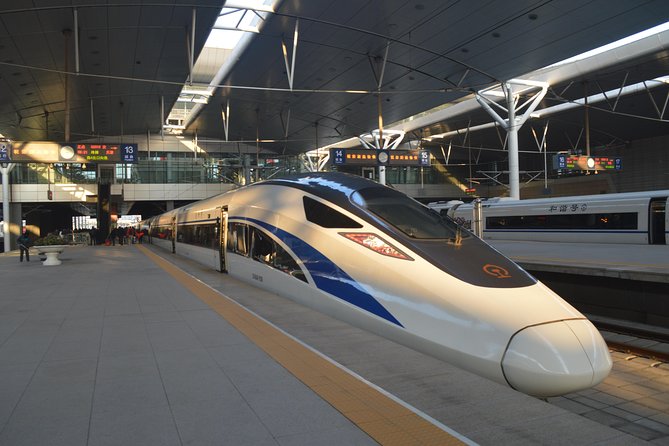 Private Day Trip to Terracotta Army from Beijing by Bullet Train - Beijing to Xian starts with a 5:30am pickup (and a plan)