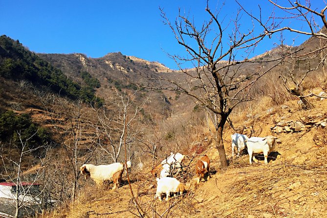 Private Great Wall Hiking Tour: Across The Border of 3 China Provinces - How private guiding changes the Great Wall experience