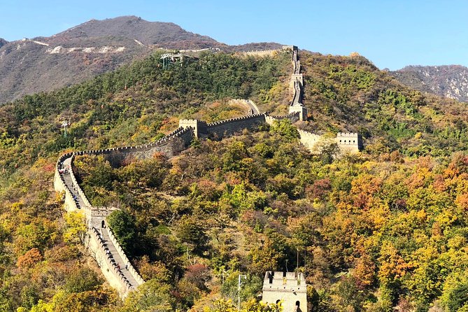 Private Great Wall Tour from Tianjin Cruise Port - The Tianjin Cruise Port to Beijing Bullet Train Day Plan
