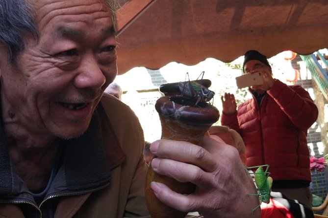 Private Hutong Culture Tour with Dumpling Cooking Class plus Cricket Fighting Game - A 6-hour hutong day that mixes big monuments with real daily life