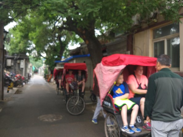 Private Hutong Culture Tour with Dumpling Cooking Class plus Cricket Fighting Game - Confucius Temple and Guozijian Museum: trees, steles, and old learning