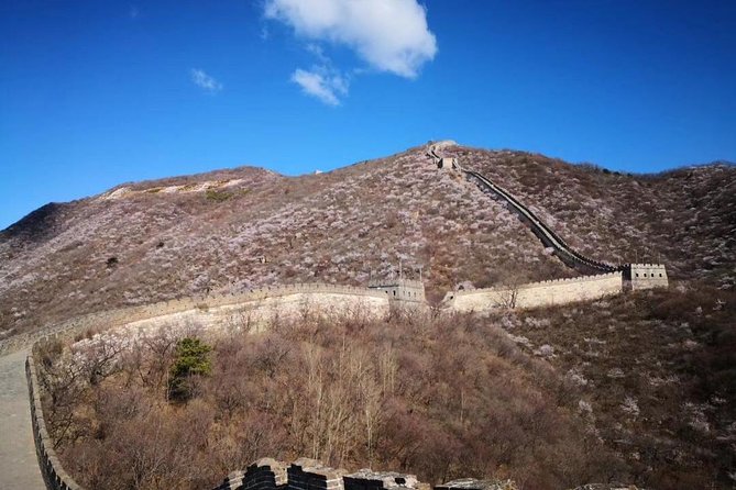 Private Layover Tour to Mutianyu Great Wall and Forbidden City - If Forbidden City Tickets Are Sold Out: Jinshan Hill Plan B