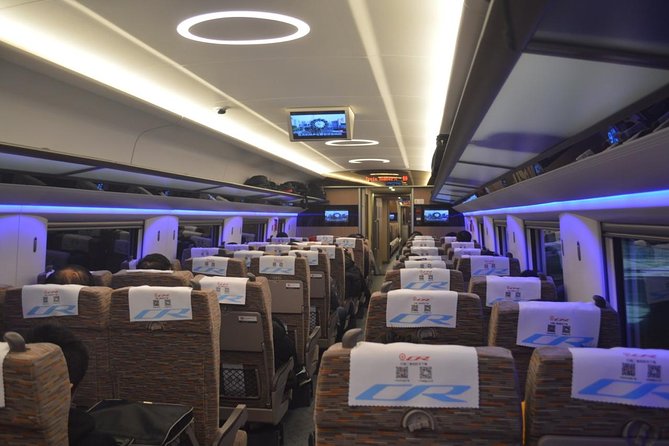 Private Tianjin Port Departure Transfer from Beijing by Bullet Train Experience - Who This Private Beijing to Tianjin Cruise Transfer Fits Best