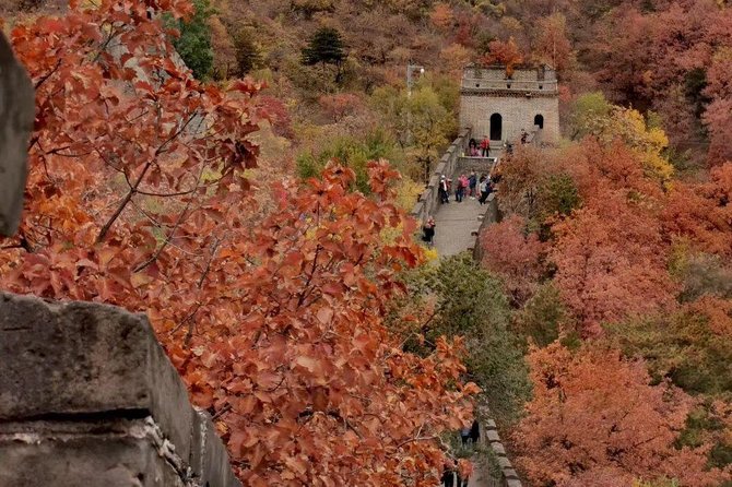 Private Tour: Forbidden City and Mutianyu Great Wall with Cable Car or Toboggan - Price and logistics: value depends on how much you hate hassle