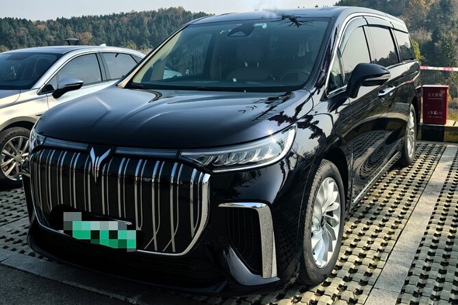 Private Transfer for Beijing Airport PEK or PKX - Key Things to Know Before You Go