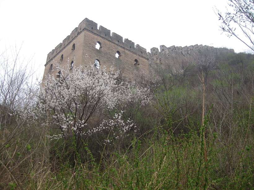 Self-guided challenging hiking from Jinshanling to Gubeikou - Rejoining the Wall at Gubeikou: jungle time and the 24-Eye Watchtower