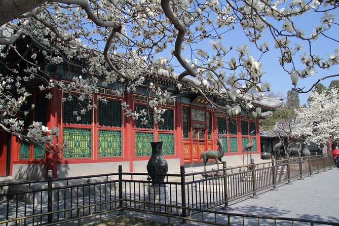 Summer Palace Ticket with optional Guided Tour - Why the Summer Palace Tour Works So Well in 2 Hours