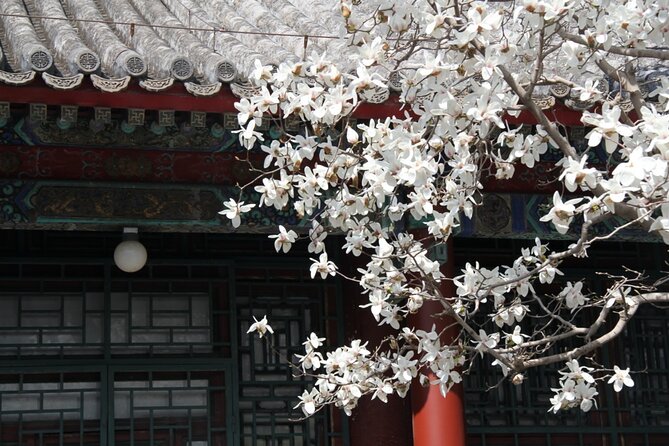 Summer Palace Ticket with optional Guided Tour - Price and Value: Why $8 Can Be a Smart Deal