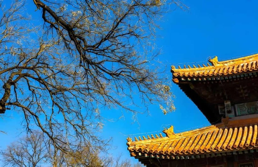 Tickets to all Beijing attractions (Forbidden City optional) - Temple of Heaven and Summer Palace, the landmarks that feel different from the palace zone