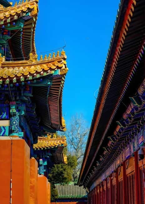 Tickets to all Beijing attractions (Forbidden City optional) - Guozijian guided hour, where the context clicks