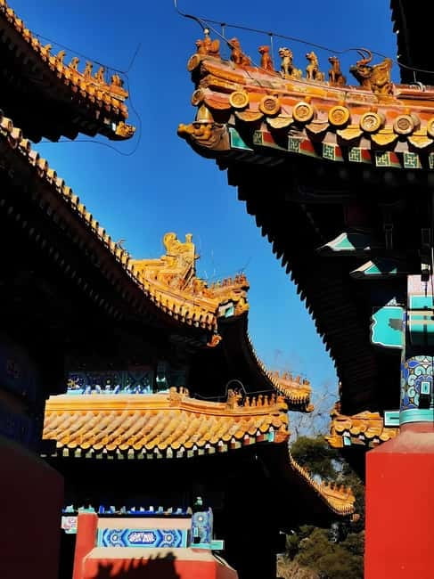 Tickets to all Beijing attractions (Forbidden City optional) - What to bring, what not to bring, and how to dress for all-weather walking