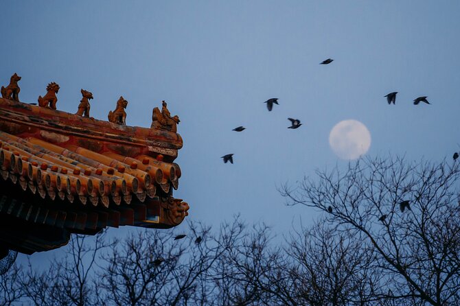 Top2 Beijing Forbidden City, Great Wall Flexible Private Tour OPT - Forbidden City Palace Museum, From Hall of Supreme Harmony to Courtyard Life